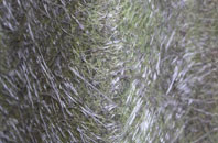 Perry Crofts fibreglass roof work